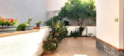 a courtyard with plants and flowers in a building at La comodità a due passi dal mare di Mondello in Mondello