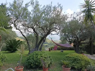 a hammock in a garden with trees and plants at Villetta sulla Valle in Castellammare del Golfo