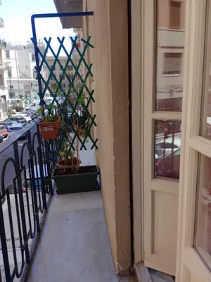 an open door to a balcony with a potted plant at LA VECCHIA PALERMO in Palermo
