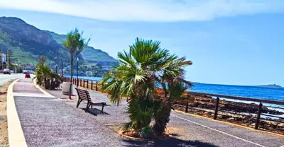 a bench and palm trees on a sidewalk near the ocean at - Palermo - Sferracavallo sul mare in Palermo