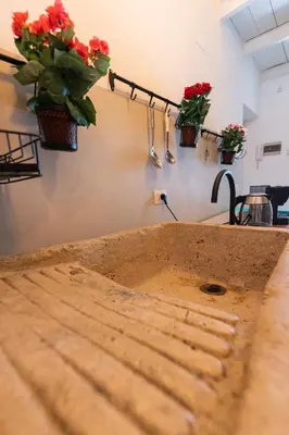 a kitchen sink with flowers on the wall at ELLY HOLIDAY HOUSE in Palermo