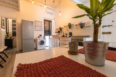 a kitchen with a table with a potted plant on it at ELLY HOLIDAY HOUSE in Palermo