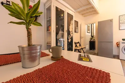 a potted plant sitting on a counter in a kitchen at ELLY HOLIDAY HOUSE in Palermo