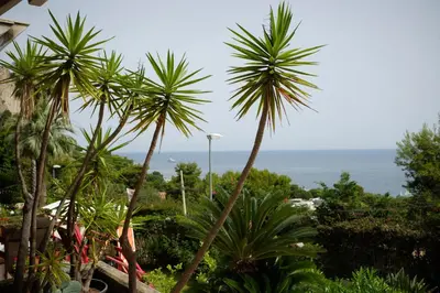 a view of the ocean from a resort with palm trees at Sea apartment & pool 2 in Palermo