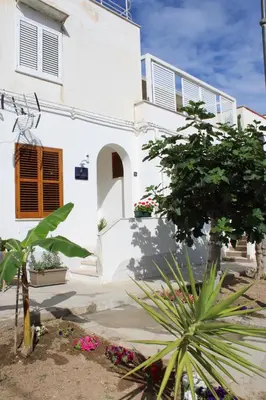 a white house with a tree in front of it at B&B Marco Polo in Terrasini