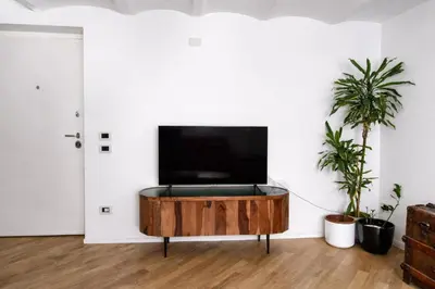 a living room with a flat screen tv and two potted plants at Palazzo Moncada appartamento 2 in Palermo