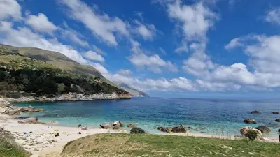 a beach with a group of animals on the beach at Casa Diomeda in Scopello
