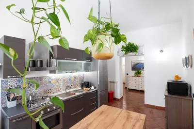 a kitchen with plants hanging from the ceiling at Pothos House in Palermo