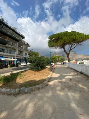 a tree on the side of a street with a building at Mondello Sea House in Palermo