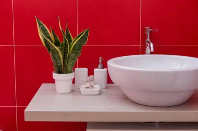 a bathroom with a white tub and a plant at Tomasi Apartment Palermo in Palermo