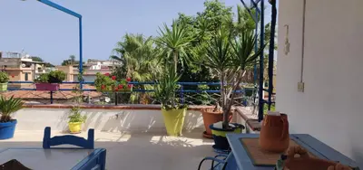 a patio with potted plants on a balcony at La Casa di Chico in Mondello