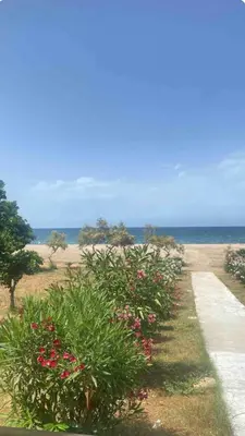 a path leading to a beach with flowers and the ocean at Rosdani Apartment in Palermo