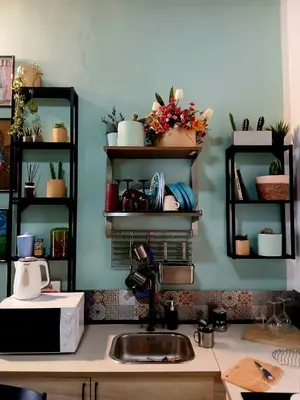 a kitchen with a sink and shelves with plants at suite della cattedrale in Palermo