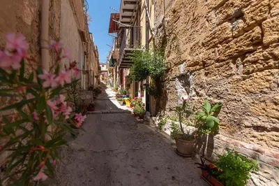 an alley with flowers and plants in an old building at La mia deliziosa Casetta di giù in Termini Imerese