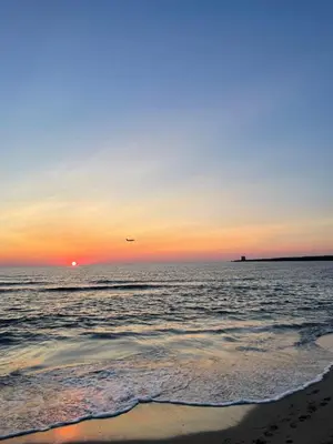 a sunset on the beach with a bird flying over the ocean at Conte125 in Cinisi