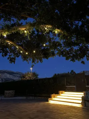 a group of stairs with lights under a tree at Villa Albamonte in Carini