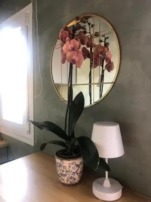a plant in a vase on a table with a mirror at A Nicuzza in Palermo