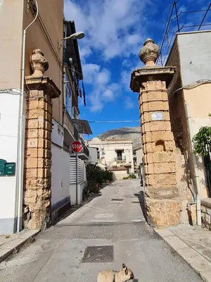 a dog laying on the street next to a building at Casetta Bella Nonna Rosetta in Mondello