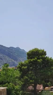 a tree in the foreground with mountains in the background at Àrima Mondello Apartment in Mondello