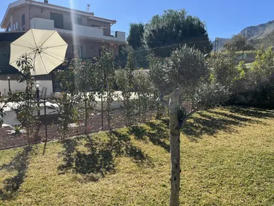 a small tree in a yard with a umbrella at Villa Simo in Altavilla Milicia