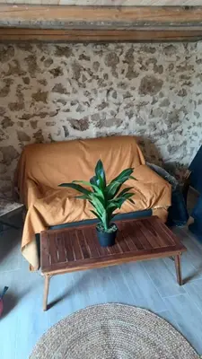 a table with a potted plant on top of a bed at Lovely Country House in Trappeto