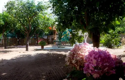 a bunch of pink flowers in a park with trees at King's Residence in Balestrate