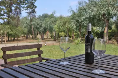 a bottle of wine sitting on a wooden table with two wine glasses at Villa Memi in Cefalù