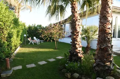 a garden with palm trees and a table and chairs at Villa Letizia in Campofelice di Roccella