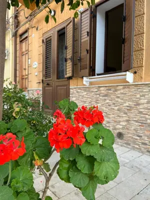 a bunch of red flowers in front of a house at A casa ru zu Nino in Capaci