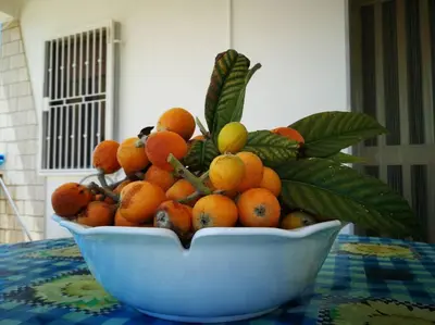 a bowl of oranges sitting on a table at Pensiero Speciale in Alcamo