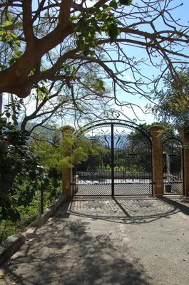 a black gate with a tree in front of it at Cinisi 89 B&B in Cinisi
