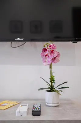 a flower in a vase next to a remote control at La Casa al mercato - SELF CHECK-IN in Palermo