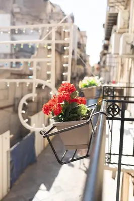 a planter with red flowers sitting on a balcony at La Casa al mercato - SELF CHECK-IN in Palermo