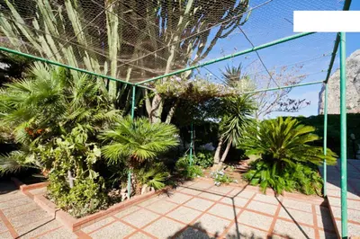 a view of a garden with palm trees and plants at Villa Verdemare in San Vito lo Capo