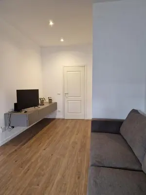 a living room with a couch and a flat screen tv at SPRING APARTMENTS in Palermo