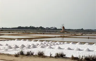 a field of crops with a windmill in the background at Casa San Giovanni in Giuliana