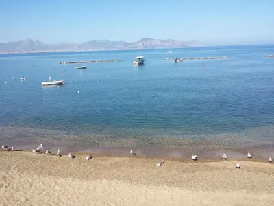 a group of birds standing on the beach at Bed And Breakfast Marina d'Aspra in Bagheria