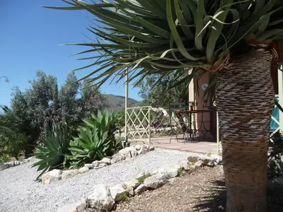 a palm tree in front of a house at Villa Paladino Solunto in Santa Flavia