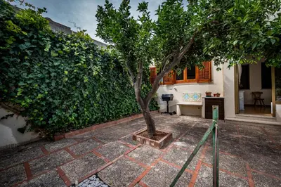 a small tree in a courtyard next to a building at La Casetta in San Vito lo Capo