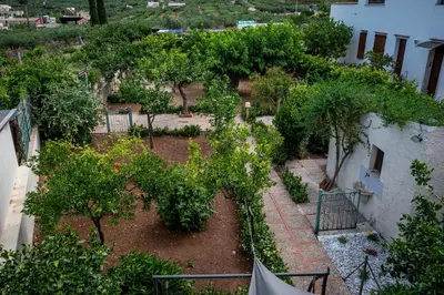 an overhead view of a garden with trees at La Casetta in San Vito lo Capo