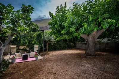 a group of chairs and a tree in a yard at La Casetta in San Vito lo Capo