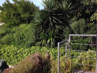 a metal railing in a garden with plants at Villa Le Lanterne Pool & Relax in Mondello