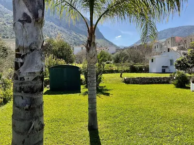 a palm tree in a yard with a green field at Villa Oasi Verde in Cinisi