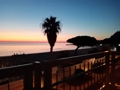 a palm tree on the beach at sunset at Rocca Mondello Rooms, Beach and Sea in Palermo
