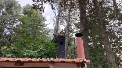 a bird house sitting on top of a tree at Villa Calici in Pioppo