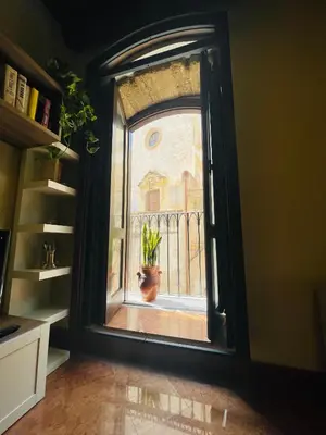 a window with a potted plant on a balcony at I Carrettieri - a few steps from the Cathedral in Palermo