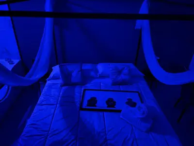 a blue bedroom with a bed with blue curtains at la porta di Alba in Palermo