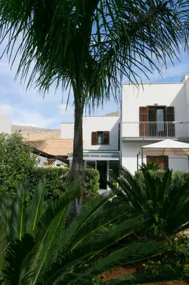 a white house with a palm tree in front of it at Rotte e Sentieri B&B in Castelluzzo