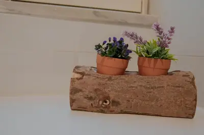 three potted plants sitting on a wooden shelf at Ideisini's apartment in Palermo