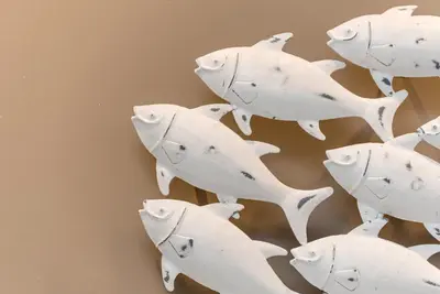 a group of white fish decorations on a wall at Ayres Del Mar in San Vito lo Capo